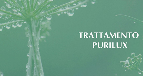 Purilux